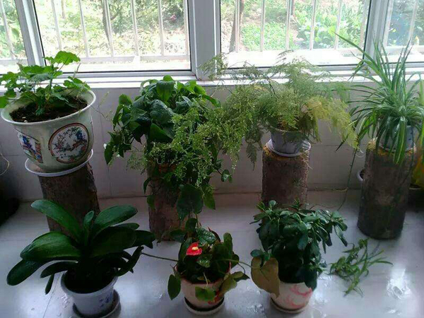 北京市市场监管部门开展虚假认证专项整治行动