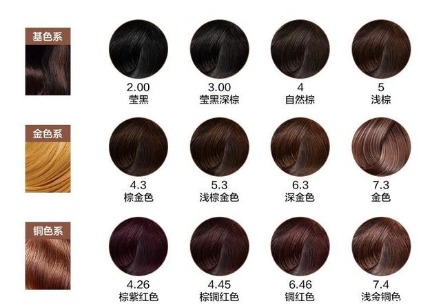博雷顿（01333）8.55%涨幅解析：量价齐飞揭示完美的“三部曲”