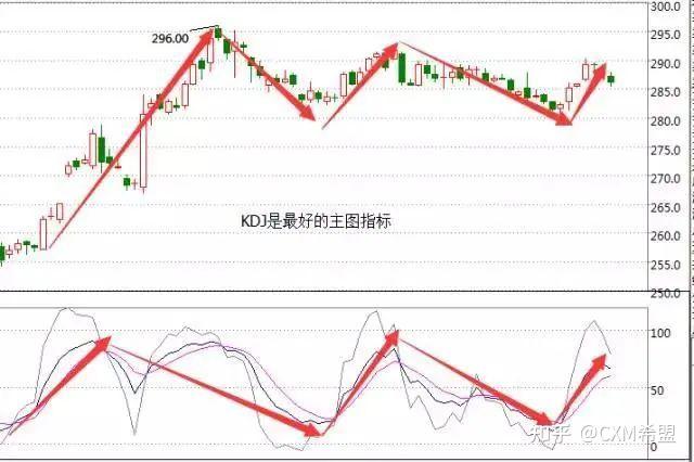 市农科院设施葡萄延迟栽培技术达国际先进水平