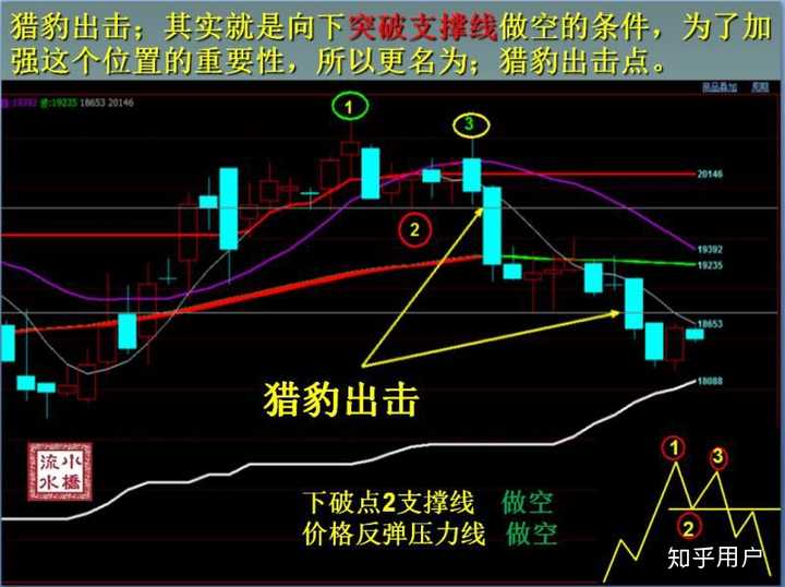 泰康人寿2024年报披露：深耕新寿险，开拓高质量发展新局