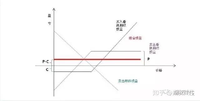 大墅镇：文明乡风焕新生 乡村振兴注新力