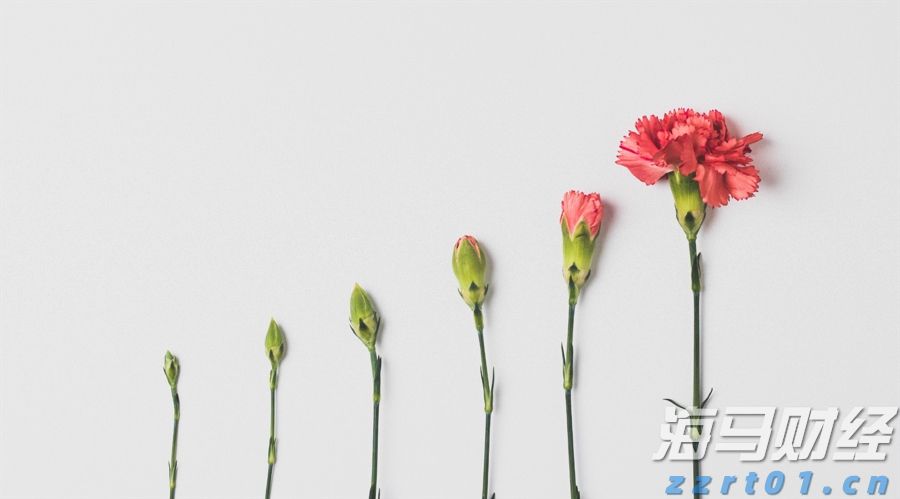 紧张局势加剧！鲍威尔坚持不降息 特朗普要求美联储理事会“介入”